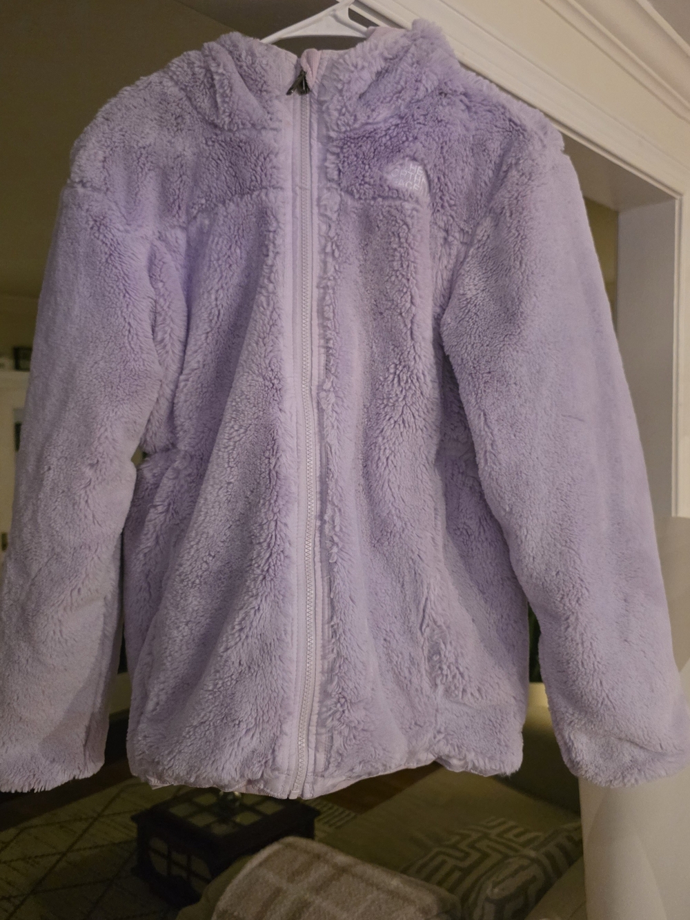 The North Face Kids Lavender Plush Hooded Puffer Jacket